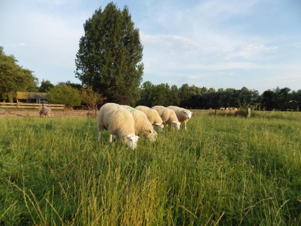 Landrust Lägenhet Horssen Exteriör bild