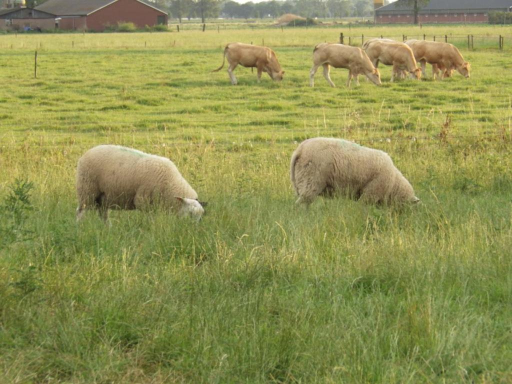 Landrust Lägenhet Horssen Exteriör bild